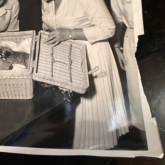 Vintage 1960 Hollywood Photo Of Tuesday Weld Dick Clark Tab Hunter & More With P - Picture 8 of 14